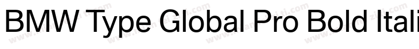 BMW Type Global Pro Bold Italic字体转换